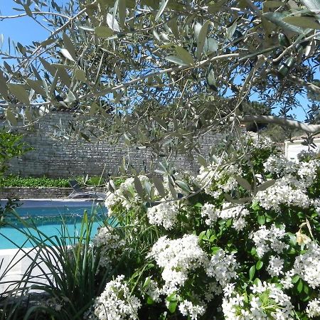 Villa Del Re 3 Face A La Piscine La Flotte Exteriör bild